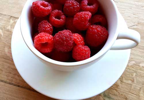 在线短信云呼网